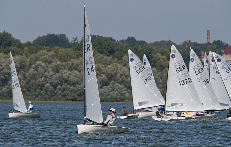 DSC 3549