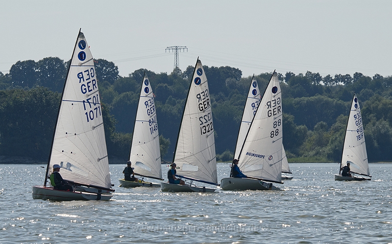 DSC 3667