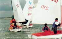 trg 12